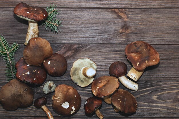 Forest mushrooms Boletus edulis and Boletus badius on a wooden background with space for text