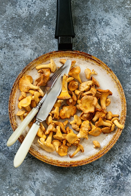 Forest mushrooms chanterelle