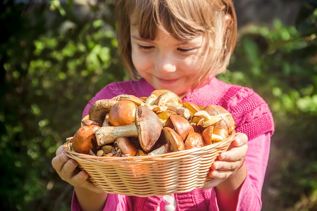 Funghi di bosco nelle mani di un bambino. messa a fuoco selettiva