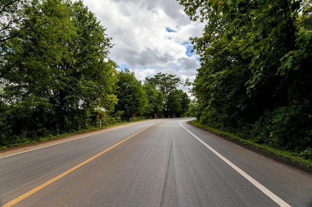 Forest nature roadway background