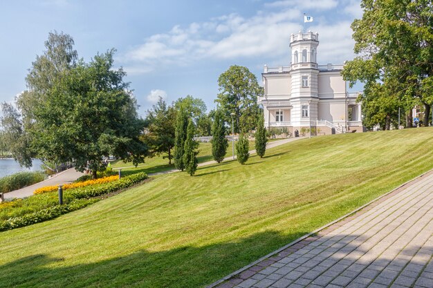 A forest park with large trees