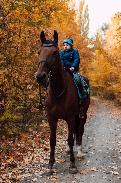 森の小道で秋の馬に乗った少年