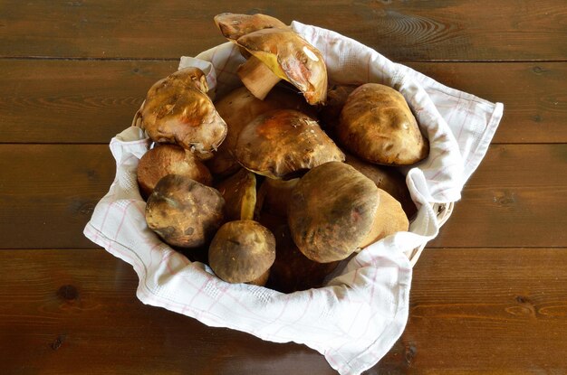 Forest-picked edible mushrooms in basket