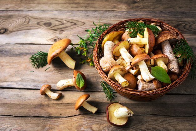 Forest picking mushrooms in the wicker basket