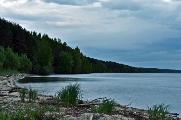 Forest on the river bank at sunset