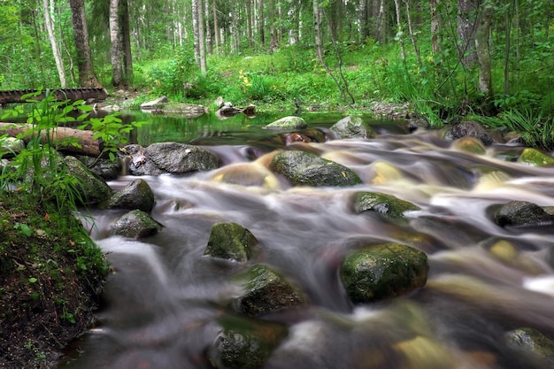 Forest river creek water flow. Beautiful summer landscape with wooden bridge, stones and flowing water at cloudy weather