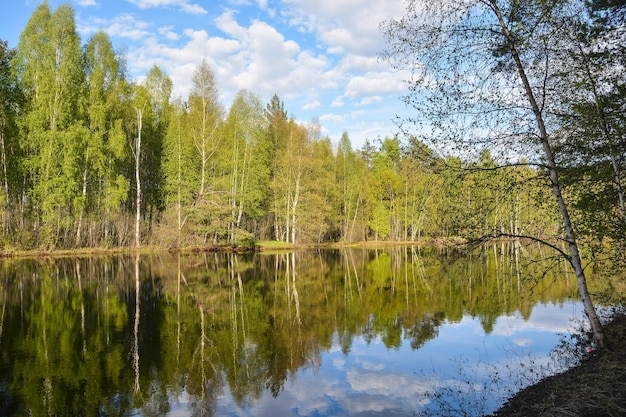 On the forest river in the Meshchersky National Park