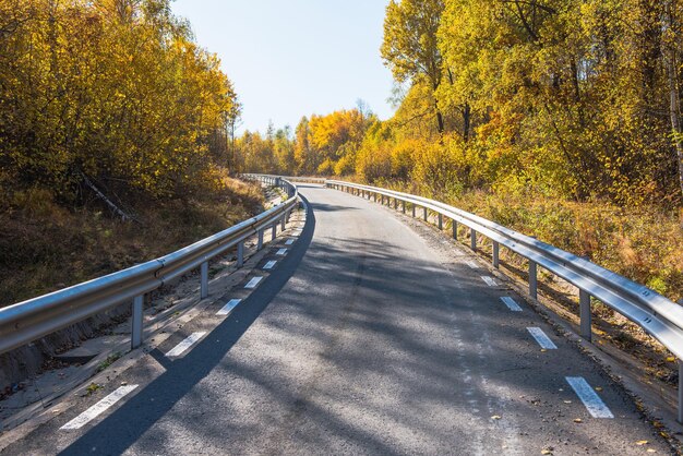 Forest road in the autumn