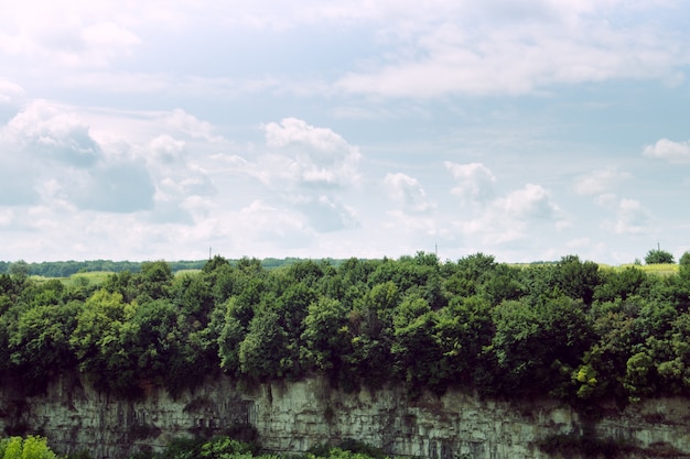 Foresta sulla roccia e bel cielo drammatico