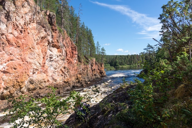 Photo forest on the rocks in canyon of the stormy river, finland. oulanka national park