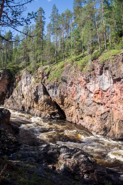 Лес на скалах в каньоне бурной реки, Финляндия. Национальный парк Оуланка