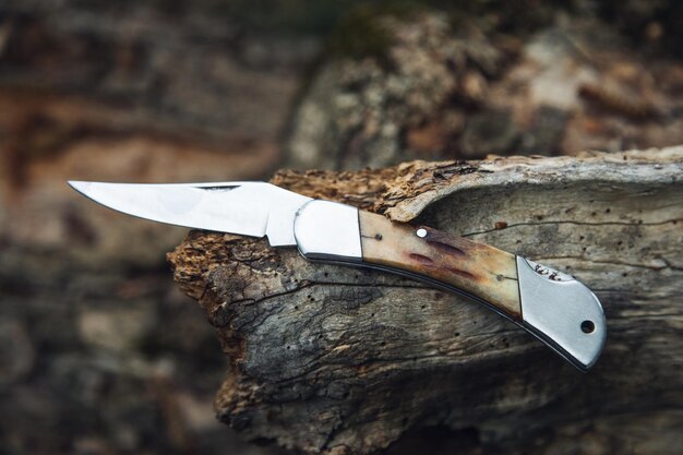 Photo forest sharp knife in pine tree