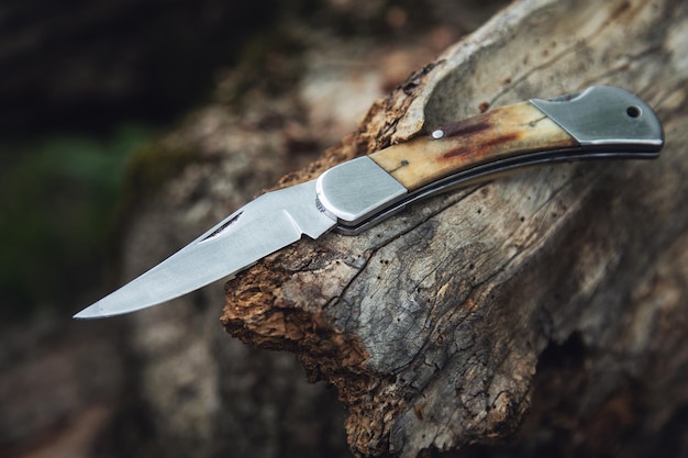 Forest sharp knife in pine tree