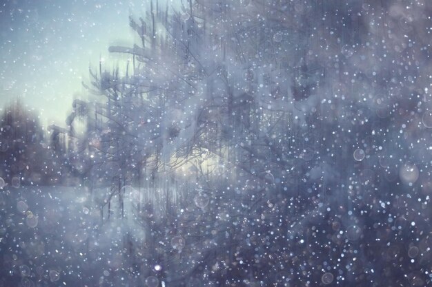 森の雪のぼやけた背景/冬の風景雪に覆われた森、冬の天候の樹木や枝
