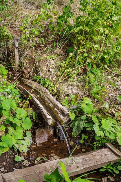 Forest spring on the hillside. Orenburg region, Russia