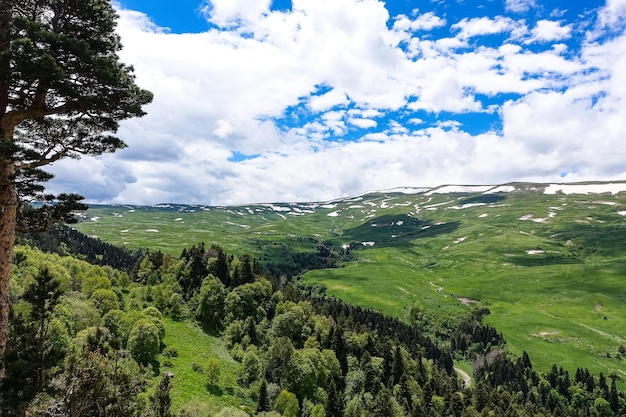 高山の牧草地を見下ろす岩のそばに立つ森アディゲ共和国のLagoNaki高原2021年