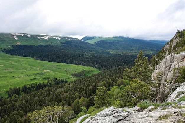 Лес у скал с видом на альпийские луга Плато ЛагоНаки в Адыгее Россия 2021