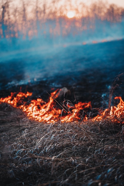 Forest and steppe fire Dry grass burning and smoke Uncontrolled fire