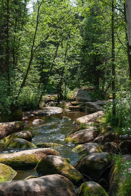 Forest stream with beautiful stones turned by water illuminated by the summer sun