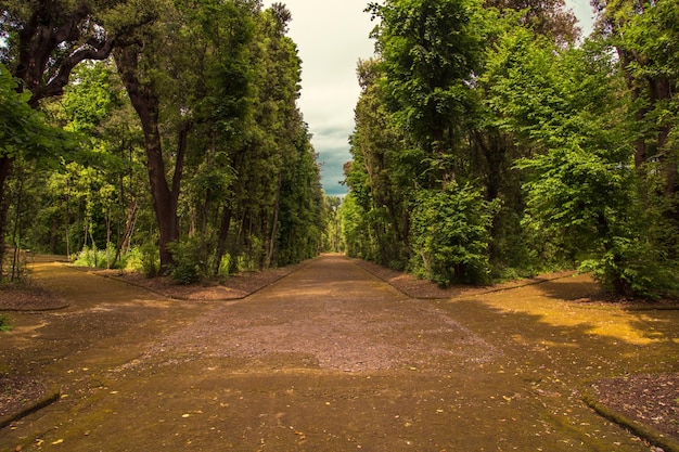 Forest trail in Capodimonte Park, Naples Italy