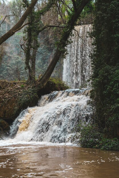 Foto forest waterfall oasis natuurlijke schoonheid bij monasterio de piedra