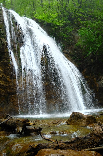 Forest waterfall and rocks covered with moss