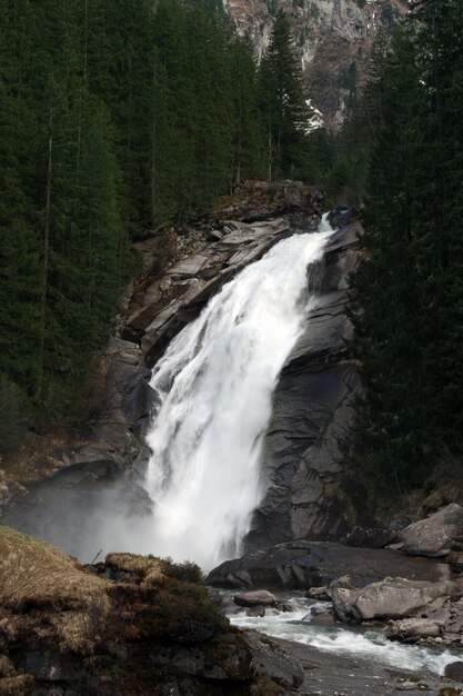 Forest waterfall