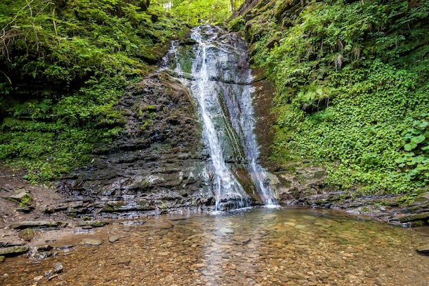 Forest waterfalls in the mountains