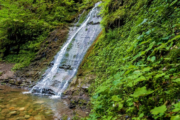 Лесные водопады в горах