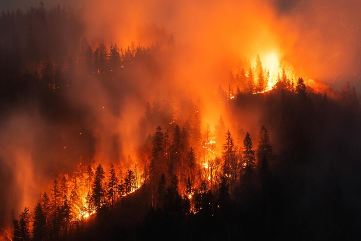 Photo forest wildfire at night a natural disaster
