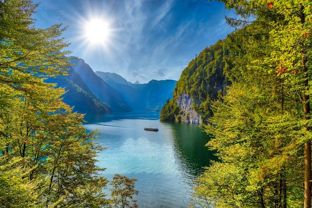 Schoenau am Koenigssee Konigsee Berchtesgaden 국립 공원 바이에른 독일 근처 호수에서 볼 수있는 숲 창