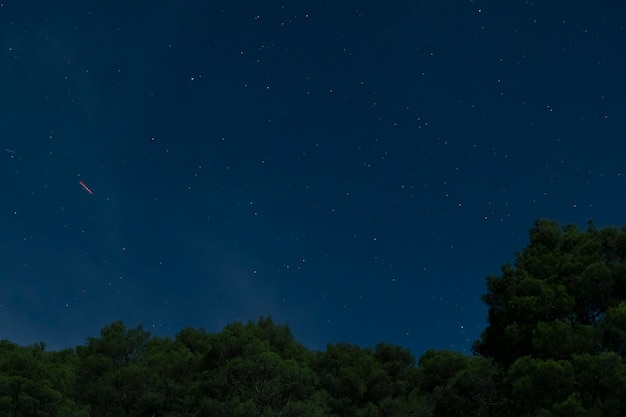 青い夜空と森