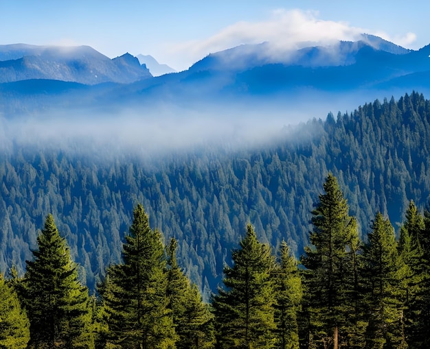 A forest with a mountain in the background