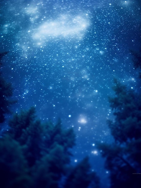 A forest with trees and stars in the sky