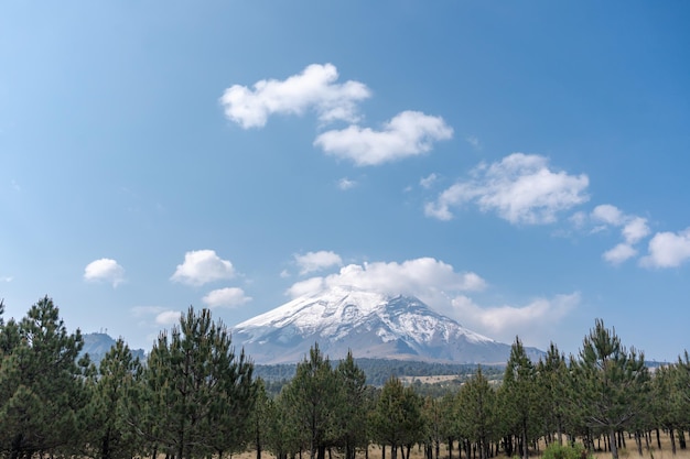 ポポカテペトル火山が遠くにある森林に覆われた丘