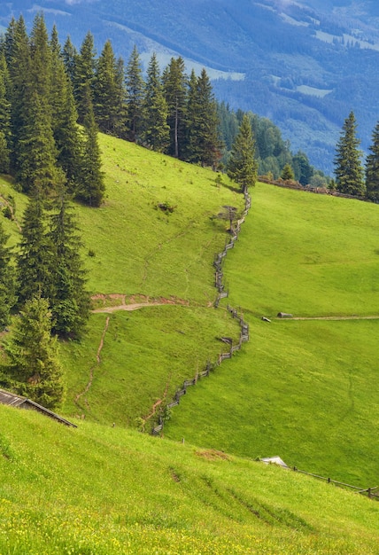 Forested rolling hill on a cloudy day lovely nature scenery of mountainous countryside