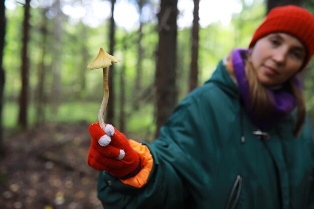 フォレスターは森の中でキノコを集めます野生のキノコを収穫しますベニテングタケで森の公園にハイキングします