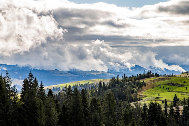 Forests and glades with beautiful clouds