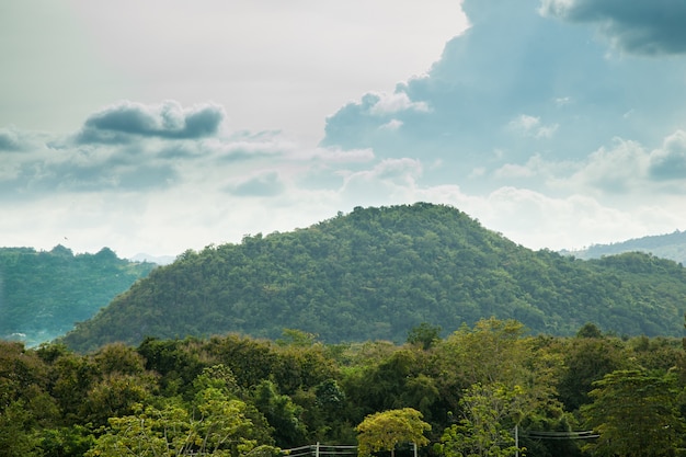 森林、山、空