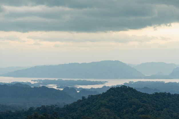 森と山々。