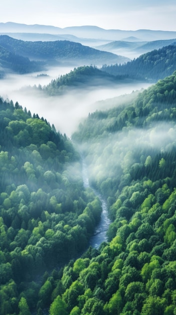 Forests trees mist fairyland like Generative AI