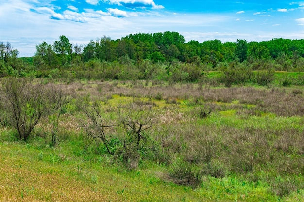 Paesaggio di foreststeppe nella costa del caspio in daghestan