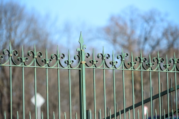 Forged metal fence of the Park on the sky background