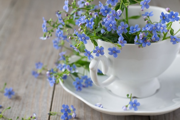 Forget-me-not in cup