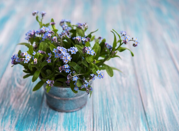 小さな金属製のバケツの忘れな草の花