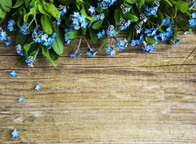 忘れな草の花のボーダー