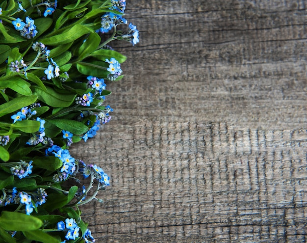 Forget-me-nots flowers border