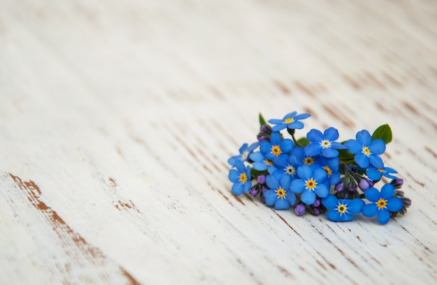 Photo forget-me-nots flowers