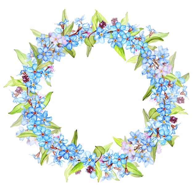 Forgetmenot flowers wreath isolated on white watercolor illustration