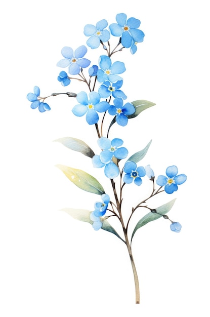 Forgetmenot takje pastel blauwe tinten aquarel techniek